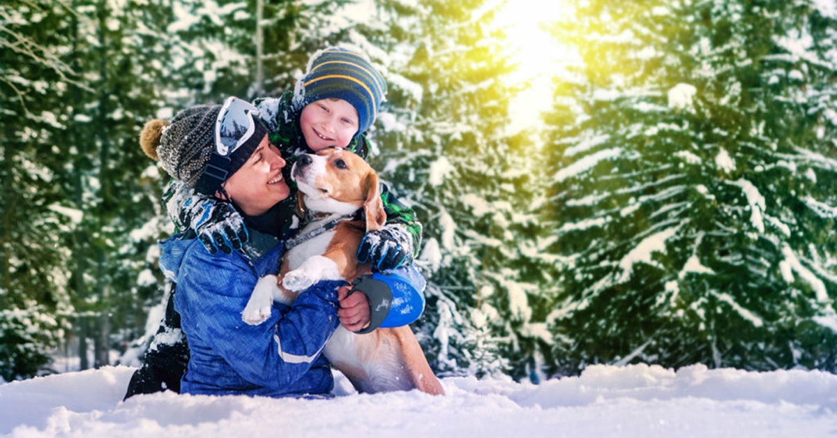 Personnes souriantes jouants dans la neige avec un chien femme garçon chien