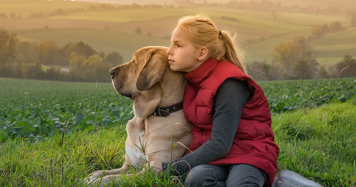 jeune fille blonde près de son chien, dans un champ, image reposante avec un couché de soleil en arrière plans